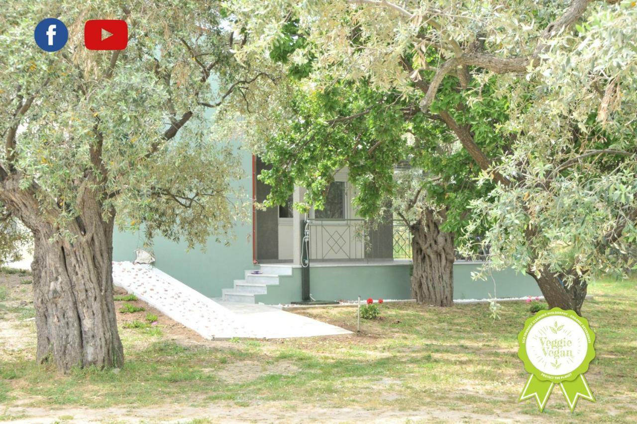 Villa "Elaeda Evdokia" Prínos Buitenkant foto